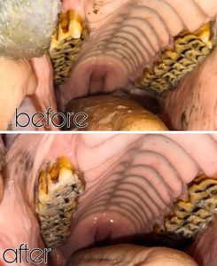 ewww